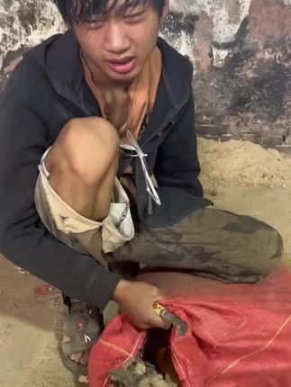 #云南小黄姜#家乡特产 #大自然的馈赠 #优质农产品