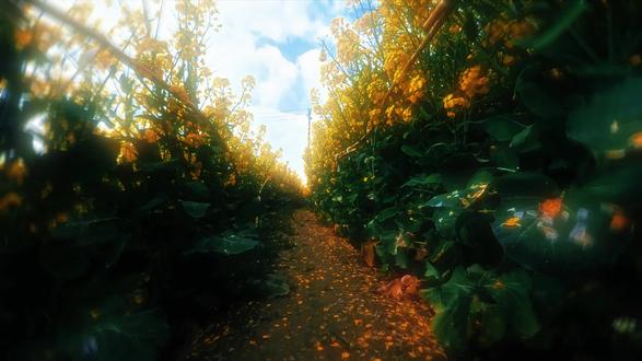 别问,问就是还在等#摄影 #电影感 #inmyfeelings