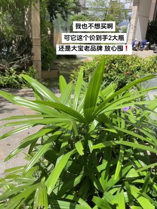真的收到了,这个价就到手2瓶#大宝sod蜜 ,从小用到大的护肤品,能刷到就快冲,#老品牌值得信赖 !#超便宜超划算 #护肤 #平价好物