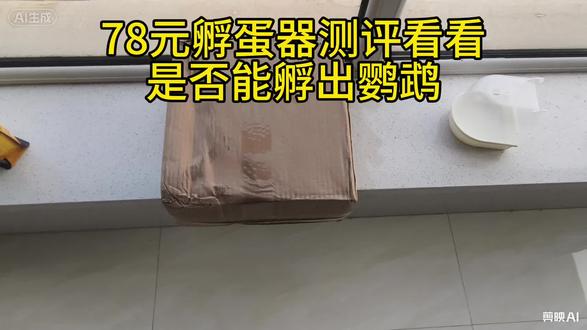 小马帮你踩坑看看网上买的78元孵蛋器究竟能不能孵化鹦鹉#电孵鹦鹉 #0天手养#玄凤#牡丹鹦鹉#虎皮鹦鹉