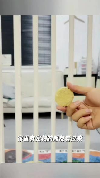 宠物狗围栏防猫门栏免打孔猫咪栏杆防猫专用挡猫挡板栏栅隔离门