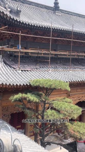 桐油猪血一麻五灰,金龙和玺,油漆彩绘 #金龙和玺 #桐油猪血做法 #一麻五灰 #油漆彩绘