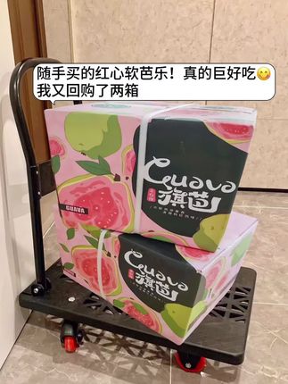 谁懂!这一口红心芭乐的好吃程度啊!奶油冰淇淋的口感,真的好绝!芭乐一定要吃软心的,没吃过一定要试试啊!#红心软心芭乐 #芭乐 #番石榴 #新鲜应季水果 #口感特别好