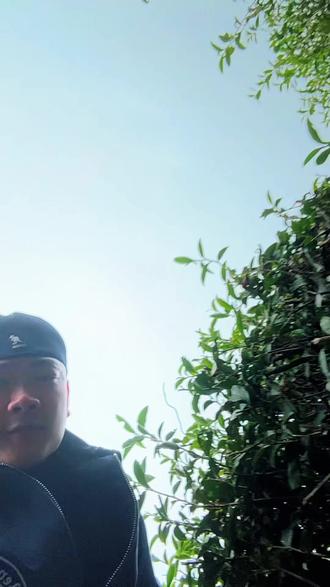 茶香四溢#BSKA #明前春茶