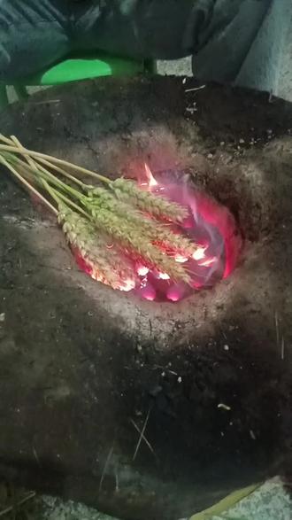 考青麦仁的教程来啦!😊
