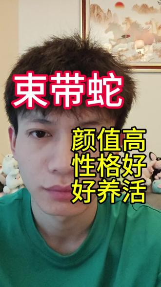 束带蛇也是比较好养的#宠物蛇 #束带蛇 #玉米蛇 #黑王蛇 #爬宠