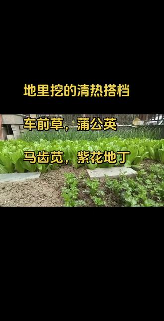 中医养生之道 #中医文化 #私家生态菜园 #养生就是养健康 #健康科普 #健康管理