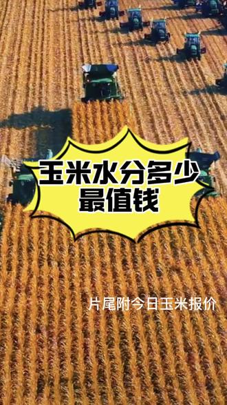 老乡们,玉米想卖高价,水分是关键!
#玉米行情 #心系三农服务三农 #玉米价格 #种地不容易 #抖音小助手🔥