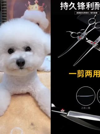 #剪刀 宠物狗狗剪毛工具弯剪牙剪直剪专业狗毛修毛剪毛宠物剪刀美容工具#宠物剪刀 #修剪刀 #弯剪刀 #专业剪狗毛 @DOU+上热门 @巨量千川 @小店随心推