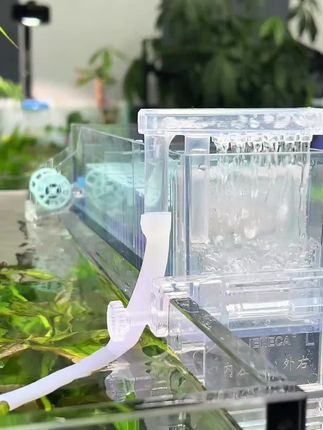 鱼缸长度低于60厘米的朋友,可以尝试一下这个三合一壁挂过滤。这款有4级过滤, 整体采用的是层层叠水的方式,瀑布出水,流水还能产生大量的气泡,为鱼缸提供氧气,喜欢的鱼友可以点左下角瞅瞅!!#养鱼日记 #鱼缸过滤 #空气缸 #过滤系统