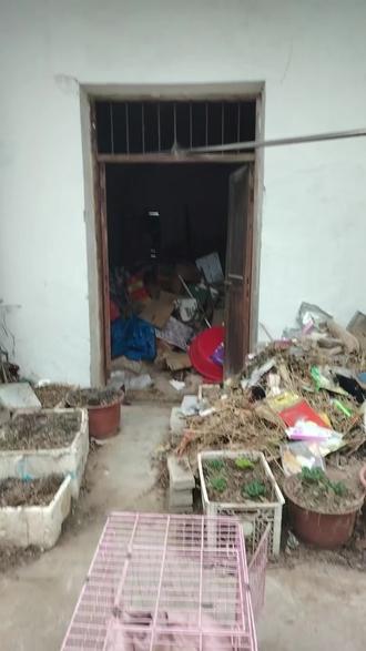 安庆海口乡下,狗子们安全了……