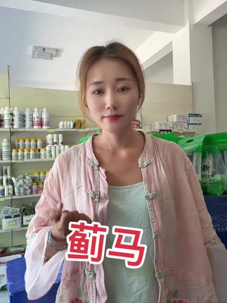 蓟马