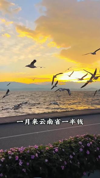 一月来云南直接省一半,风光旖旎满目清新,关注我带您了解云南旅游攻略必去景点,解锁不绕路最优路线#云南5天4晚纯玩团精致小团 #云南旅游攻略 #丽江 #大理 #昆明