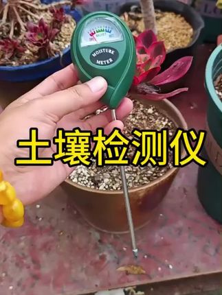 一机多用的土壤检测仪室内园艺盆栽湿度酸碱度检测园艺工具土壤实 一机多用的土壤检测仪室内园艺盆栽湿度酸碱度检测园艺工具土壤实时监测#土壤检测 #检测仪器 #测试仪