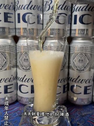 百威冰啤买一箱再送一箱小红罐,到手整整30罐#啤酒 #百威啤酒 #好喝不贵 f