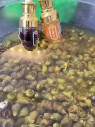 泡螺诱青鱼药酒主攻青草鲢鳙大鲫鱼,泡螺丝泡颗粒泡玉米,穿透力强诱鱼迅速#钓鱼小药添加剂 #黑坑盘老板 #黑坑青鱼 #黑坑青鱼小药泡螺蛳