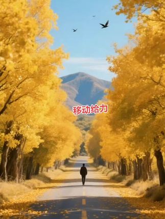 一风过,暑意收,一个转身,夏花谢作了过往,一回驻足,秋色晕染成诗行,盼这个秋天,所有温暖如约盛放!#秋天落叶🍂 #旅游 #上热门🔥 #中国移动#无限回购的宝藏单品 @DOU+小助手
