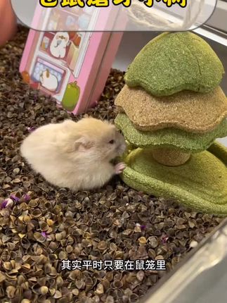 A股,聪明钱除了流入绩优股,上午主要去了半导体,算力,五一假期概念,以及房地产。#A股 #股民 #股票 #行情分析 #大盘