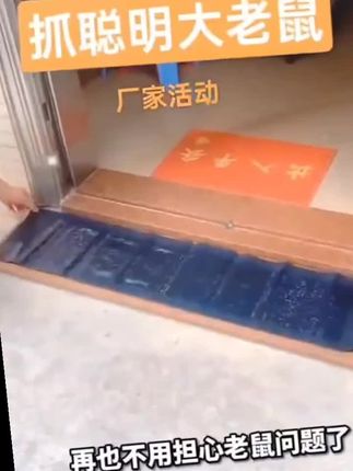 家有老鼠就用它,隐形粘鼠板让老鼠有来无回#家居小技巧#粘鼠板#好东西一起分享 #捕鼠神器#老鼠克星