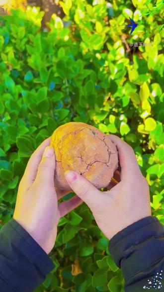 好运莲莲吊坠,一位单亲父亲送给女儿的礼物,你喜欢吗?#手工 #吊坠 #玉雕 #手艺人 #玉石魅力