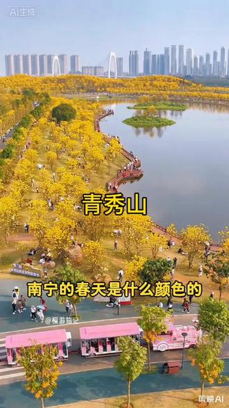 3月的南宁青秀山满山的黄花风铃木又开了,绵绵不绝,美如仙境#南宁 #黄花风铃木 #绿城南宁🔥🔥🔥