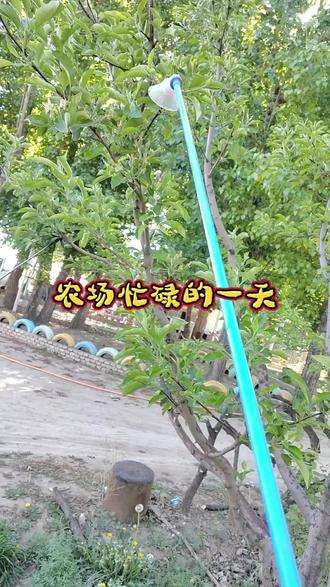 农场干活不单调,一会干这一会干那,反正想干就有干不完的活,咱们是什么急就干什么,不急的就推推缓缓,主打一个事要干人也要顾。#农场日记 #酵素