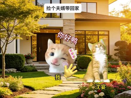 捡个夫婿带回家#猫meme #甜文