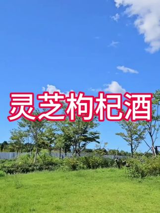 地地道道的好酒,灵芝枸杞,酒体金黄,口感绵柔爽劲,好喝不上头,10斤玻璃大坛,东北产地直发#好喝不贵 #口粮酒 #中老年宝藏单品 #枸杞 #在抖音入手的好东西
