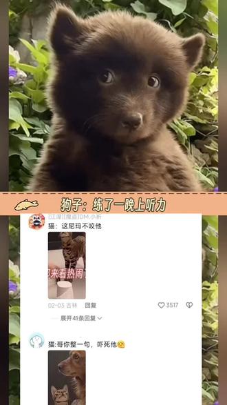 狗:以为是考听力,没想到是考口语#家有萌宠 #万万想不到