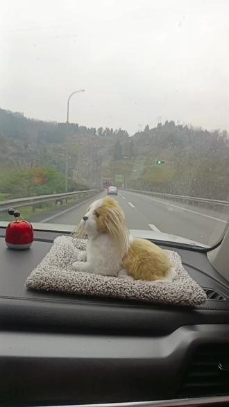 重庆的隧道才多啊,一个连一个