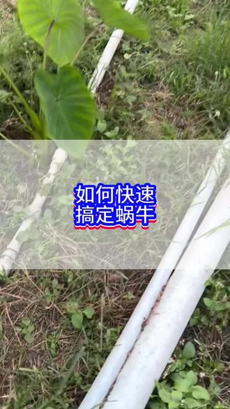 简单方便实用,往地里撒就可以搞定