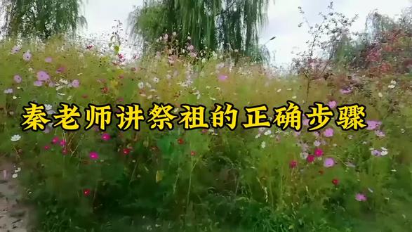 要过春节了,该祭祖了,你的祭祖方式正确吗?听秦老师讲祭祖的正确步骤。#秦东魁老师传统文化分享。#智慧人生#悟人生之道 #因果#福报
