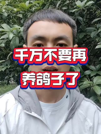 千万不要再养鸽子了#鸽子 #养鸽人 #鸽子养殖技术