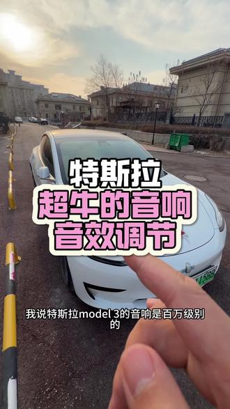 分享特斯拉超强的音响调节#特斯拉 #特斯拉model3 #特斯拉音响调节