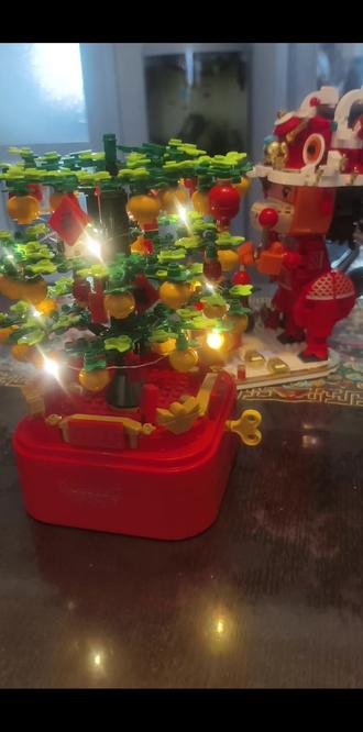 #幸福树 小朋友用乐高积木,搭配成功柿柿如意。