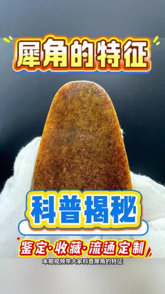 犀角的特征,手里有的发在评论区,公益鉴定不收费 #热门 #文玩雅物 #文玩手把件推荐 #犀牛角 #牙骨角