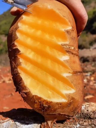 雪莲果中富含丰富的维生素和氨基酸,吃着脆脆甜甜.底着糖底热量#天山雪莲果