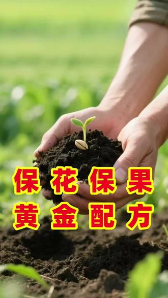保花保果黄金配方磷酸二氢钾 流体硼 芸苔素#花芽分化#保花保果#农业种植#种植小技巧#分享农业知识帮农民增产增收