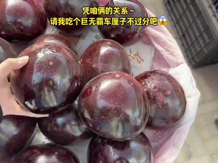 教孩子学会“吵架”,不惹事也不能怕事,在善良中带有一些锋芒,避免社交伤害#亲子教育#正确的引导孩子陪伴孩子#家长必读