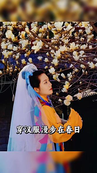 北京大观园玉兰花开