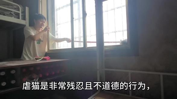 #动物反虐待法 #虐待动物