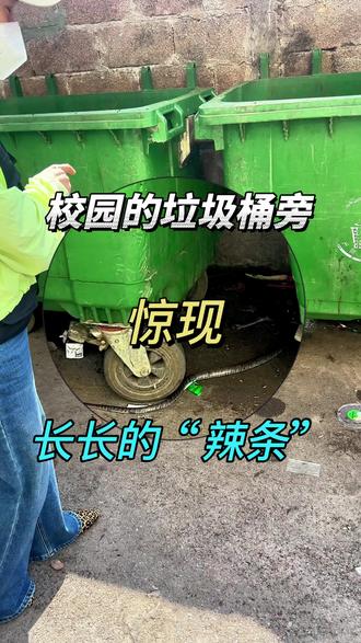 气候炎热,“辣条”出没#灭鼠方法 #灭蟑螂 #白蚁 #蛇 #柳州
