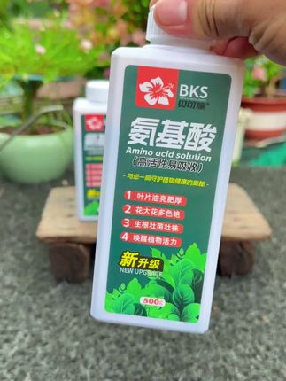 家里养花,只要记住这个方法!#三角梅 #三角梅过冬 #施肥 #氨基酸水溶肥