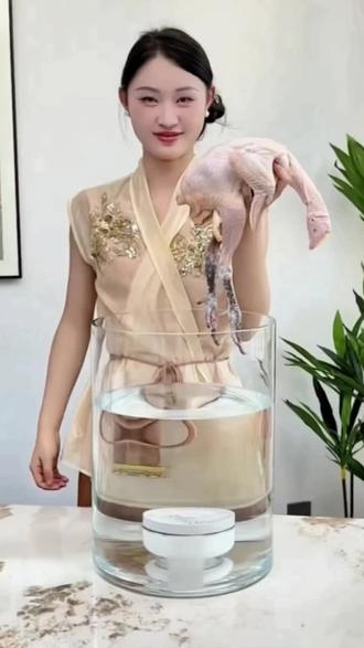 为了家人的健康值得入手苏泊尔食材净化机农药净化家用果蔬海鲜肉类清洗去农残激素细菌重金属