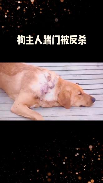 狗主人踹门被反杀案:正当防卫如何界定?懂法才不做“法盲”
山西长治“狗咬人引发反杀案”引发全民热议,60岁的申某良之子被邻居郭某家狗咬伤后摔死狗,协商及报警无果后,郭某亲属踹门砸窗侵入申家,混乱中申某良持刀致郭某死亡,检方以故意伤害罪起诉,案件核心争议直指“是否构成正当防卫”。
根据《刑法》,正当防卫需满足五大要件:存在真实不法侵害、侵害正在进行、具有防卫意图、针对侵害人、未超必要限度。本案中,起诉书已确认郭某一方砸窗、踹门侵入住宅的不法行为,申某良有鼻骨骨折等伤情,且曾5次报警求助未获回应,具备防卫的基础条件。但防卫是否“过当”是关键——若申某良确遭多人围殴,持刀反抗属制止侵害;若仅为轻微冲突,致人死亡则可能超出限度,需法院结合证据判定。
此案警示所有人:邻里纠纷应优先通过法律途径解决,郭某一方拒绝调解、暴力侵入住宅,已涉嫌违法;申某良报警无门后的反抗,也需在法律框架内界定边界。不懂法易从“受害者”变成“违法者”,遇到不法侵害时,要保留证据、及时报警,防卫行为需与侵害强度匹配。
法治社会需人人懂法用法,既不能以暴制暴,也不能让合法权益被侵害。需要我帮你梳理《正当防卫核心认定要点》,用通俗语言拆解法律边界吗?