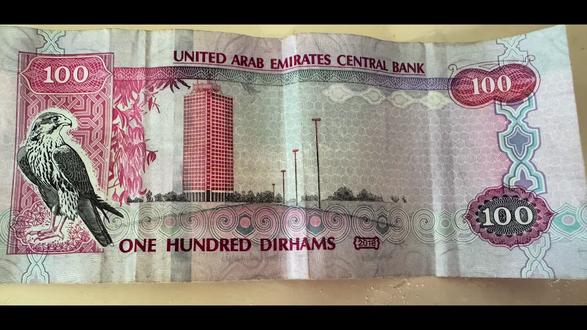 #上热门 #取景器里的世界 迪拜的鸟奉为神灵