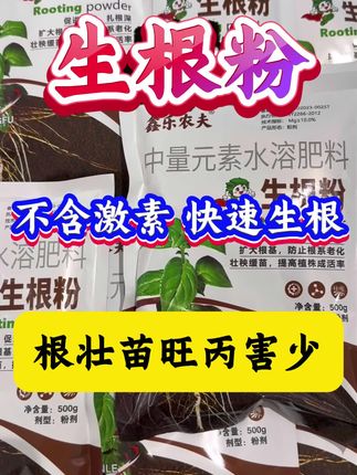 生根粉 快速促根 养苗护苗不烂根#生根粉 #生根粉快速生根 #增产增收才是硬道理 #我的农资之路 #农资肥料
