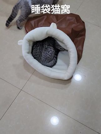 睡袋猫窝 睡袋猫窝#猫窝 #猫