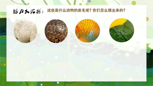 二年级下册美术优质课件《丰富的肌理》➕配套教案#美术#小学美术#美术课件#美术课#小学美术课件