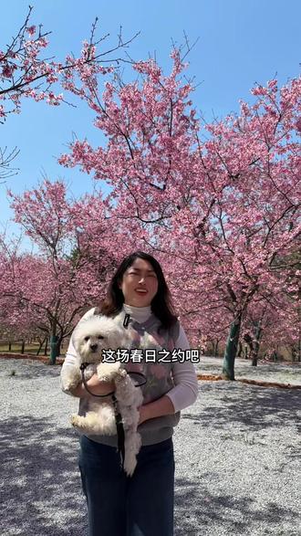 29.9就可以在桂阳樱花园赏樱花拍美照!
这个春天别错过了,这么美的樱花季
#桂阳樱花园#镜头里的春日美景
#拍照打卡圣地#樱花季